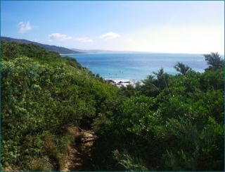  The waters of Tarifa 